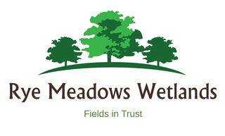 Ashtead Rye Meadows Wetlands