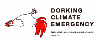 Dorking Climate Emergency